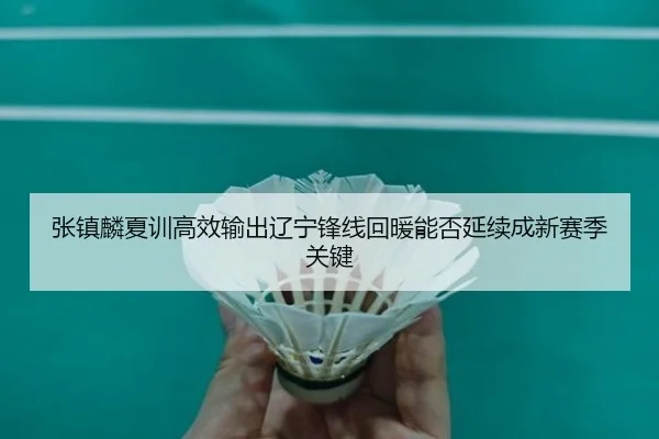 张镇麟夏训高效输出辽宁锋线回暖能否延续成新赛季关键